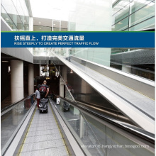 Aksen Moving Walks, Escalator in Door Type